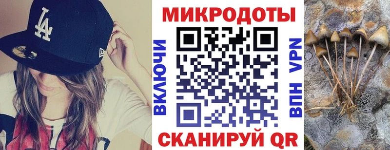 купить  цена  MEGA ТОР  Псилоцибиновые грибы GOLDEN TEACHER  Эртиль 